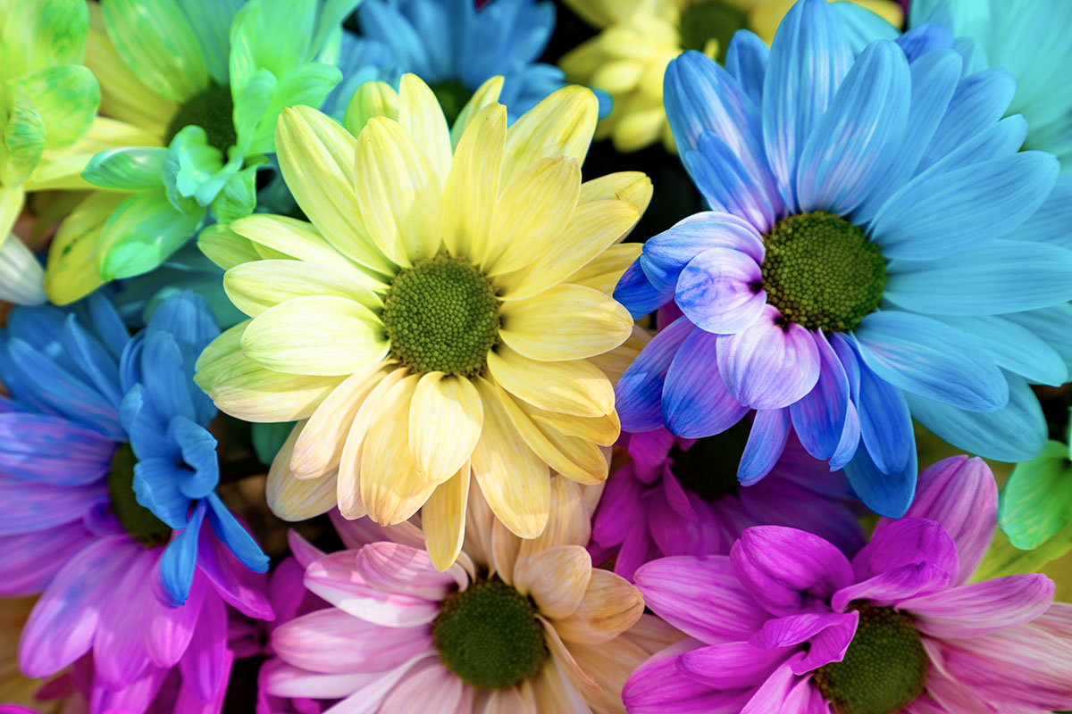 χρωματικοί συνδυασμοί