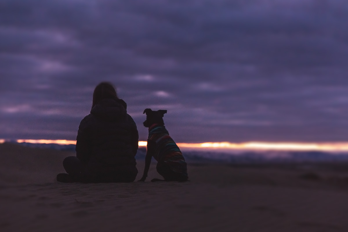 Οι 10 δημοφιλέστερες ράτσες σκύλων για άφθονη αγάπη, χαρά και συντροφιά Επιλέγοντας την κατάλληλη ράτσα σκύλου - Οι 10 δημοφιλέστερες ράτσες σκύλων για άφθονη αγάπη, χαρά και συντροφιά