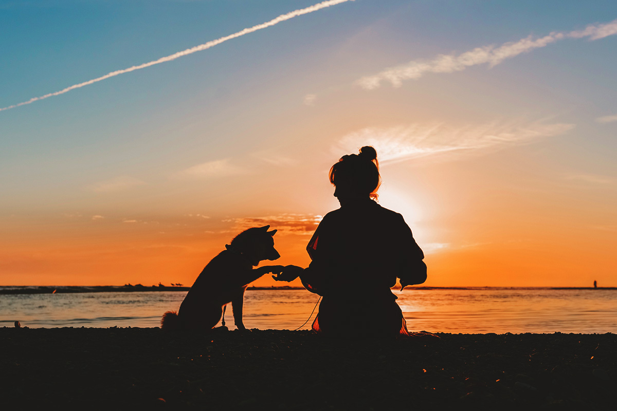 Πλεονεκτήματα μικρόσωμων σκύλων