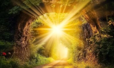 10 Μαγικές Εικόνες για μια Ξεχωριστή Καλημέρα